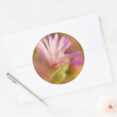 Diffusionsbild einer farbigen, sukkulenten Blume Runder Aufkleber (Umschlag)