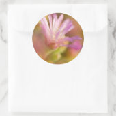 Diffusionsbild einer farbigen, sukkulenten Blume Runder Aufkleber (Tasche)