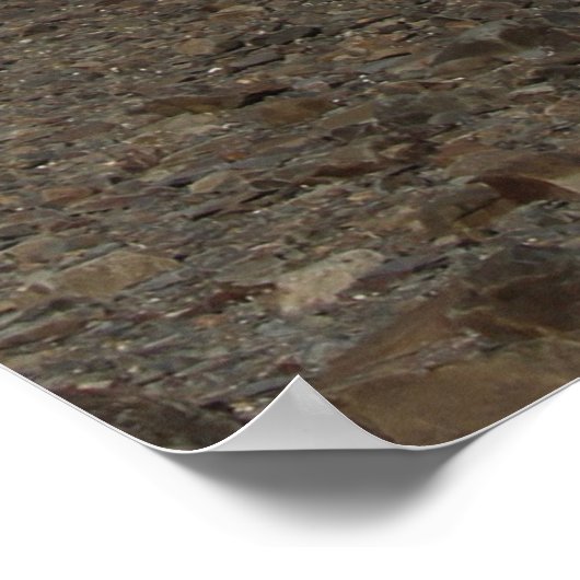 Digby Lighthouse Poster (Ecke)