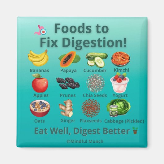 🌿Digestive Health Fridge Magnet  (Vorne)