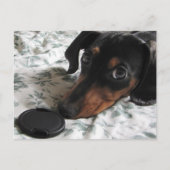 Digger Strike eine Pose Postkarte (Vorderseite)