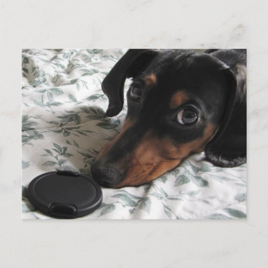 Digger Strike eine Pose Postkarte (Vorderseite)