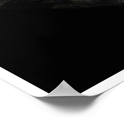 Digiryum Poster (Ecke)