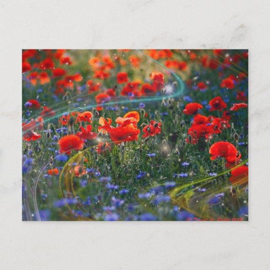 Digital Artwork Postcard Postkarte (Vorderseite)