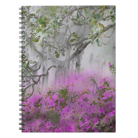 Digital Composite of Azaleas and Magnolia tree Notizblock (Vorderseite)