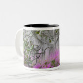 Digital Composite of Azaleas and Magnolia tree Zweifarbige Tasse (Vorderseite Links)