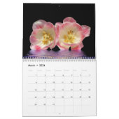 Digital-Dunkelkammer 2019 - Kalender (Mär 2026)