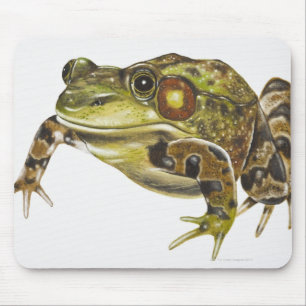 Digital-Illustration des grünen Frosches Mousepad