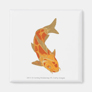 Digital-Illustration von Koi Karpfen Magnet