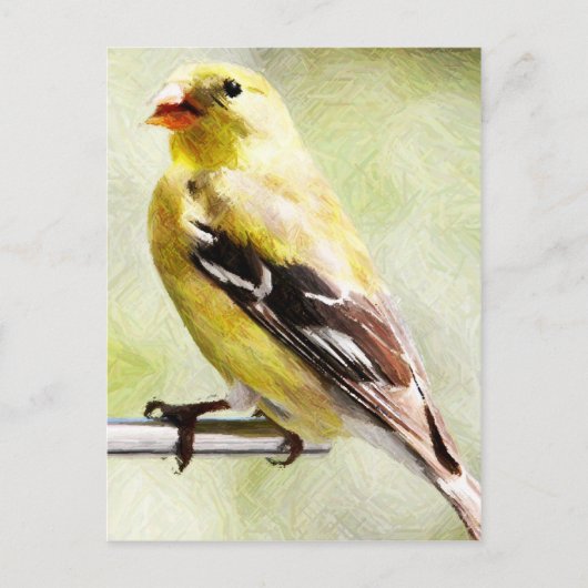 Digital lackierte Gold Finch am Vogelzug Postkarte (Vorderseite)