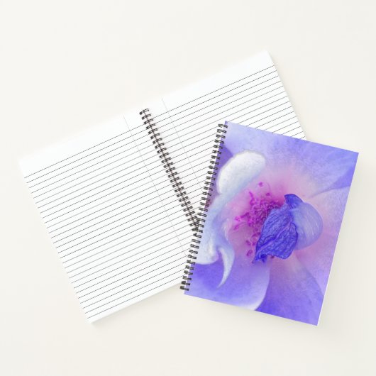 *~* Digital modifizierte Rose von Rosa bis Blau Notizblock (Innenseite)