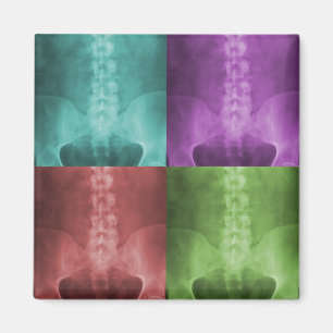 Digital-Röntgenstrahl-Kunst-Magnet Magnet