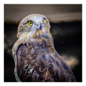 Digital verbesserte Ölfarbe eines kurz gezackten B Poster (Vorderseite)