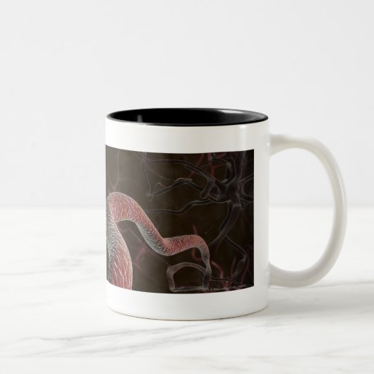 Digital-Wiedergabe der Neuronen Zweifarbige Tasse (Rechts)