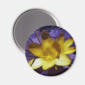 Digital Yellow Crocus Magnet (Vorderseite/Rückseite)