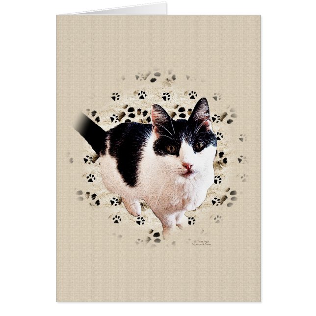 Digitale Katalogskizze (Vorne)