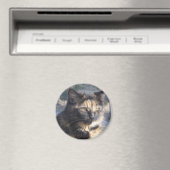 Digitale Katze Magnet (In Situ (Geschirrspüler))