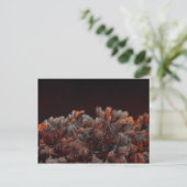 Digitale Kunst des Kiefernbaums mit orangefarbenen Postkarte (Stehend Vorderseite)
