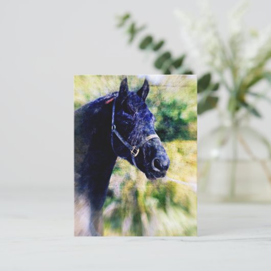 Digitale Kunst für das Schwarze Pferd Postkarte (Stehend Vorderseite)