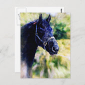Digitale Kunst für das Schwarze Pferd Postkarte (Vorne/Hinten)