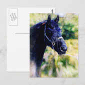 Digitale Kunst für das Schwarze Pferd Postkarte (Vorne/Hinten)