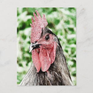 Digitale Kunst von Blue Rooster Postkarte