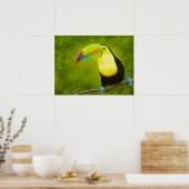 Digitale Malerei Tropischer Jungle Toucan Bird Poster (Küche)