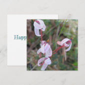 Digitale Postkarte (Vorne/Hinten)