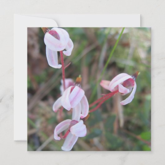 Digitale Postkarte (Vorderseite)