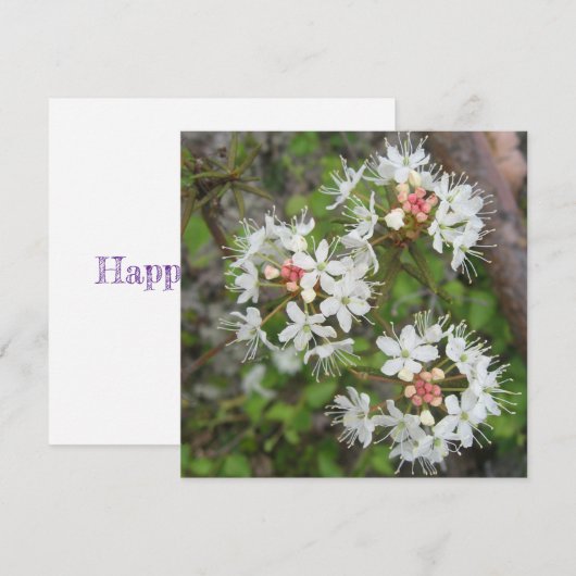 Digitale Postkarte (Vorne/Hinten)