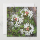 Digitale Postkarte (Vorderseite)