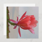 Digitale Postkarte (Vorne/Hinten)