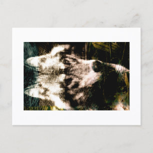 Digitale Remix-Kunst : Wolf Postkarten-Druck von J Postkarte