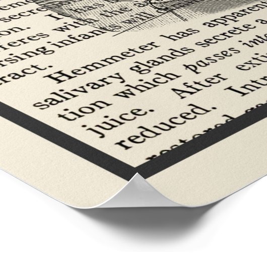 Digitale Systemanatomie Art Print #1 Poster (Ecke)