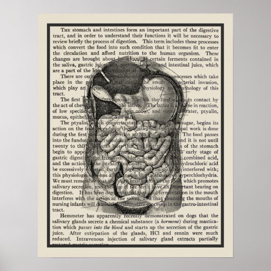 Digitale Systemanatomie Art Print #1 Poster (Vorne)