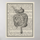 Digitale Systemanatomie Art Print #4 Poster (Vorne)