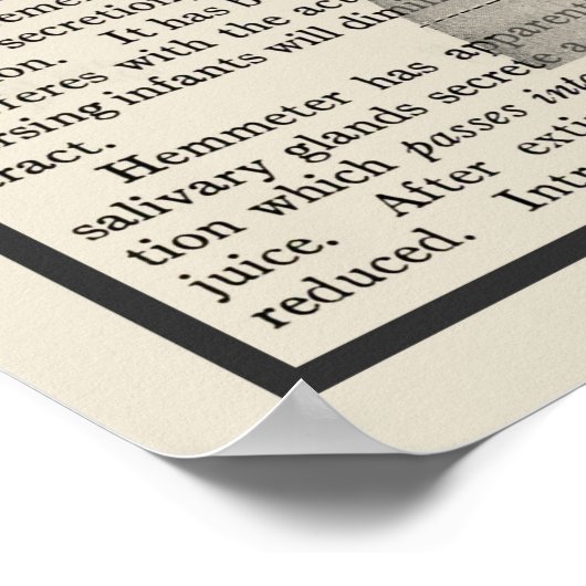 Digitale Systemanatomie Art Print #5 Poster (Ecke)