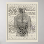 Digitale Systemanatomie Art Print #5 Poster (Vorne)