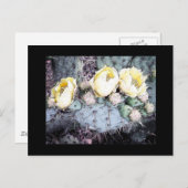 Digitale Tintenaufnahme der Cactus Blume Postkarte (Vorne/Hinten)