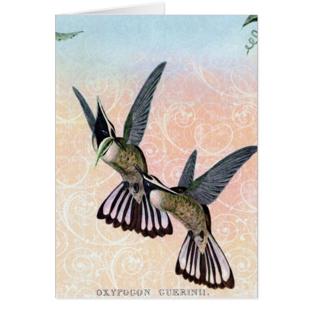 Digitale Vintage Vogelkunst (Vorne)