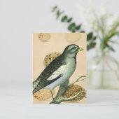 Digitale Vintage Vogelkunst Postkarte (Stehend Vorderseite)