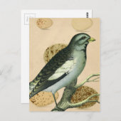 Digitale Vintage Vogelkunst Postkarte (Vorne/Hinten)