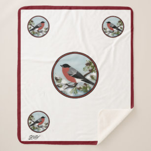Digitale zeichnend Vogeldecke Sherpadecke