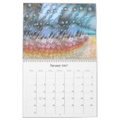 Digitaler Barockkalender 2020 Fraktal Kalender (Jan 2027)