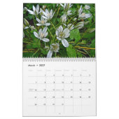 Digitaler Blumengarten Calendar #2 Kalender (Mär 2027)