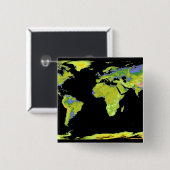 Digitales Höhenmodell der Kontinente auf Ea Button (Vorne & Hinten)