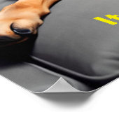 Digitales Kunstportrait, deutsch Shepard Meme Funn Poster (Ecke)