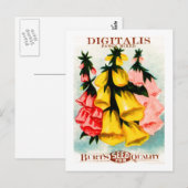 Digitalis Foxglove Seed Packet Postkarte (Vorne/Hinten)