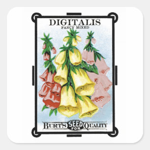 Digitalis-Samenpackettetikett Quadratischer Aufkleber