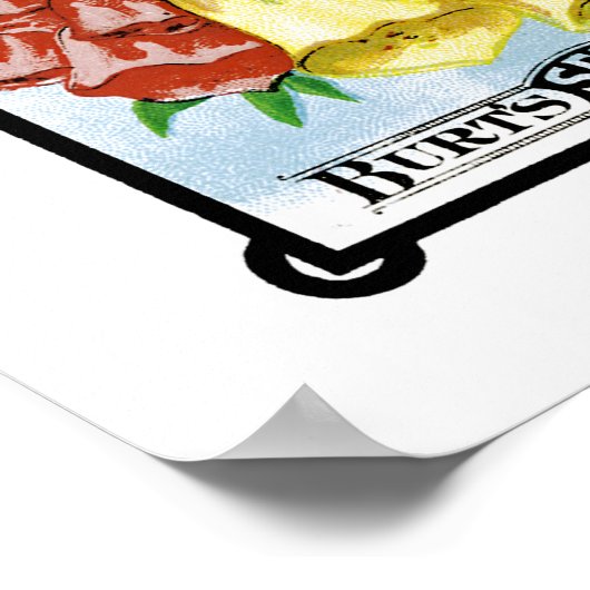 Digitalis Seed Packet Label Poster (Ecke)